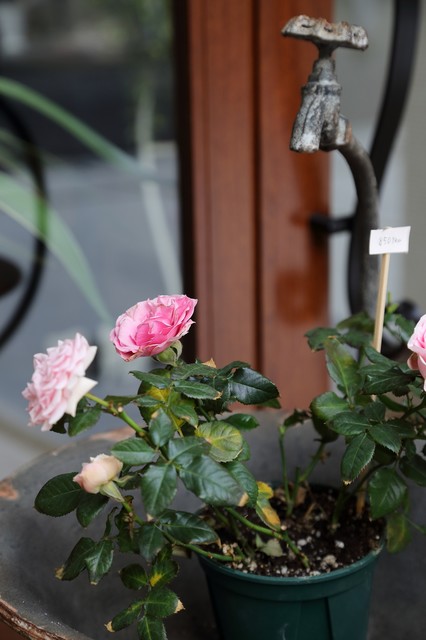 街の小さなお花屋さんのある家 country-facciata