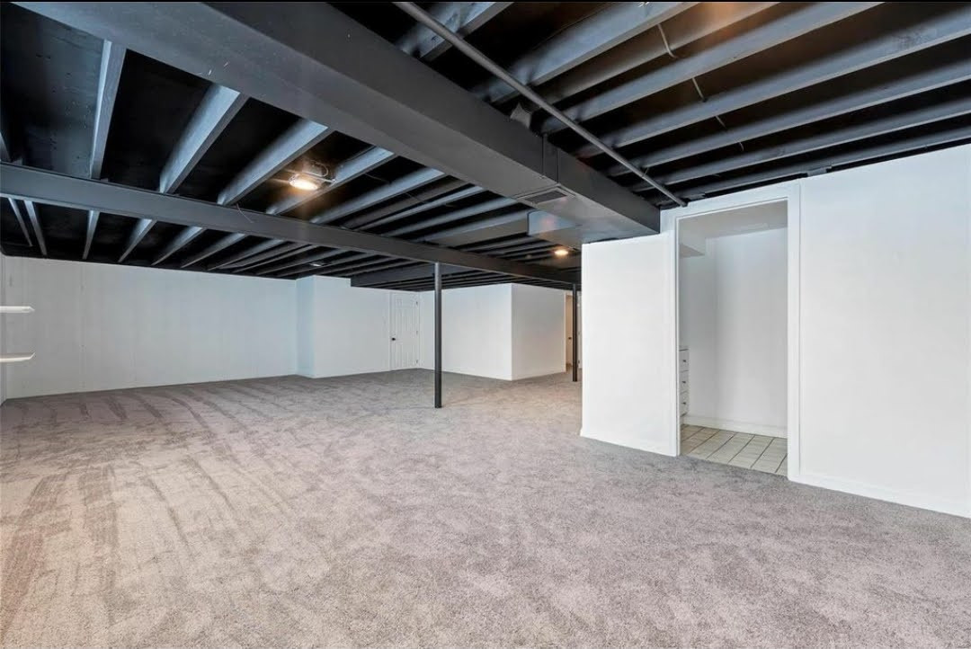 Basement Finish