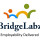 Bridgelabz Solutions
