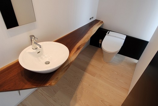 This is an example of a modern powder room in Other.