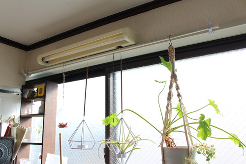賃貸の部屋でも使える 壁を傷つけない 便利グッズで インテリアを楽しもう Houzz ハウズ