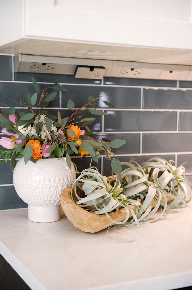 Kitchen - transitional kitchen idea in Denver