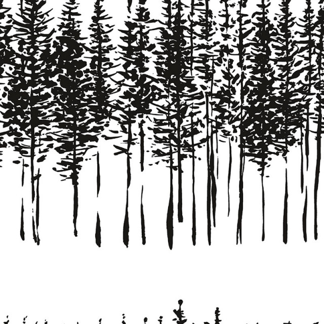 Norwall BW28742 Black and White Trees Wallpaper Contemporary Wallpaper by The Savvy