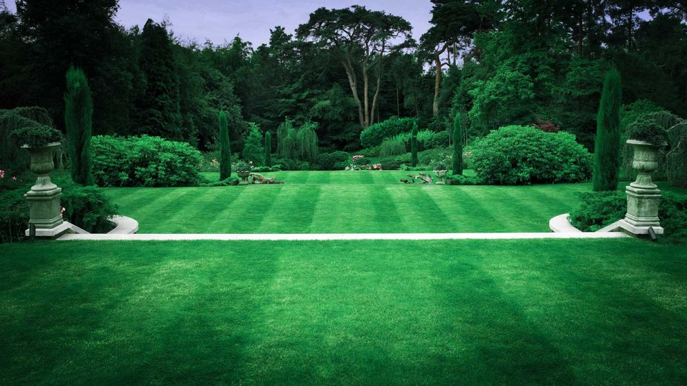 Суррей Времена Года