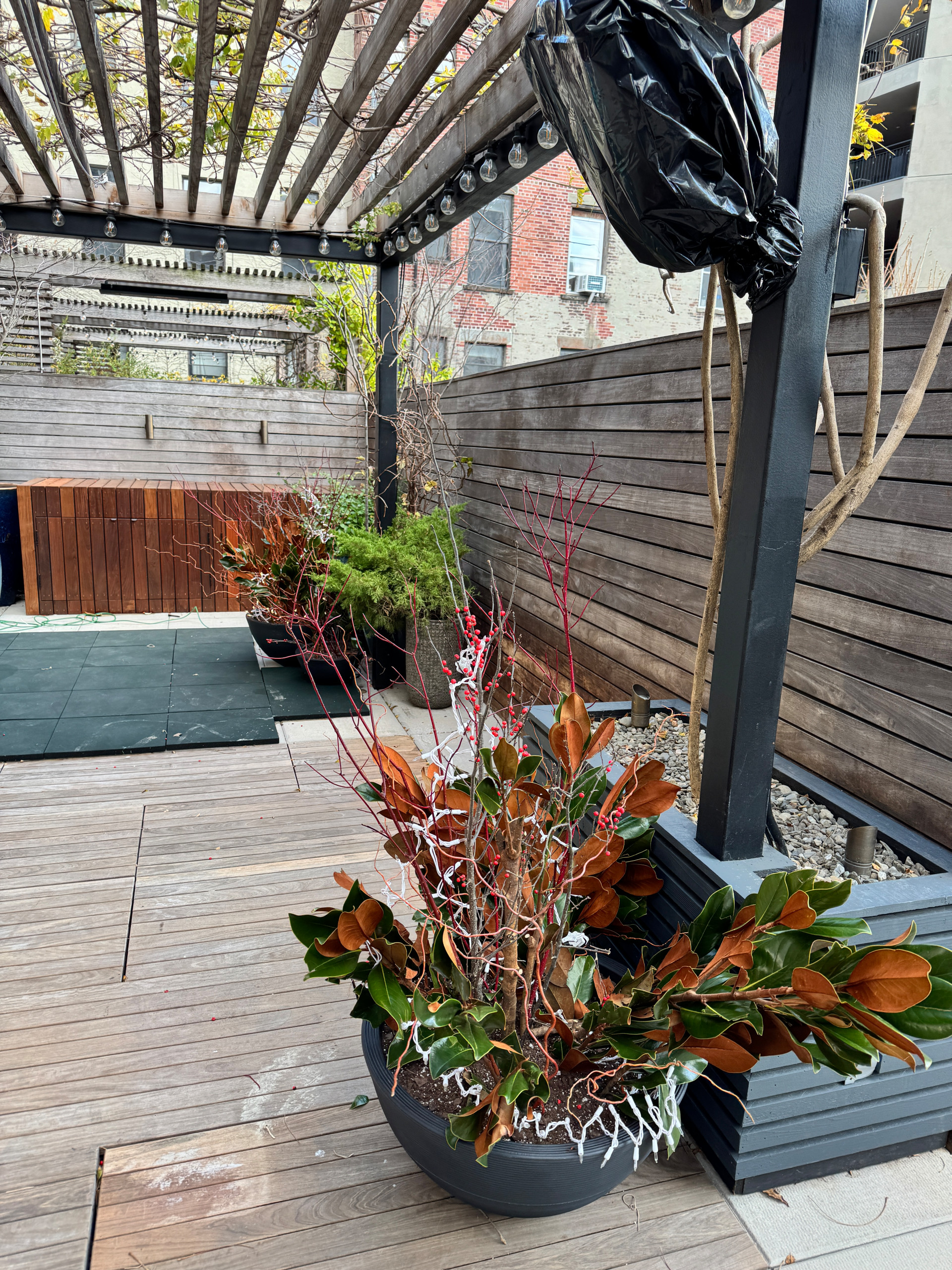 Williamsburg terrace