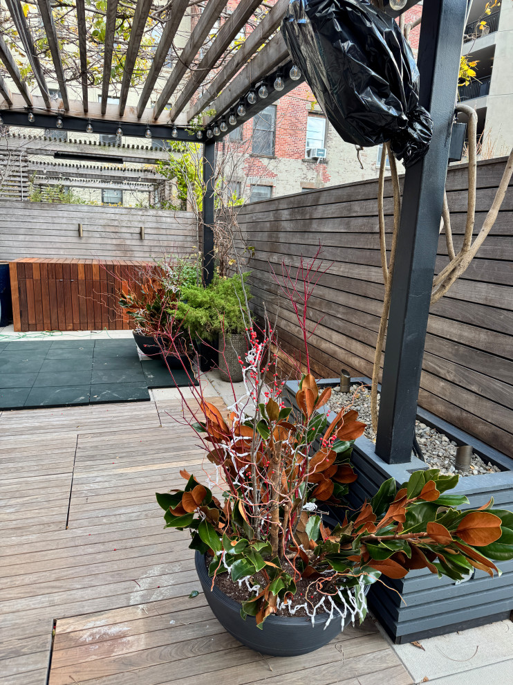 Williamsburg terrace