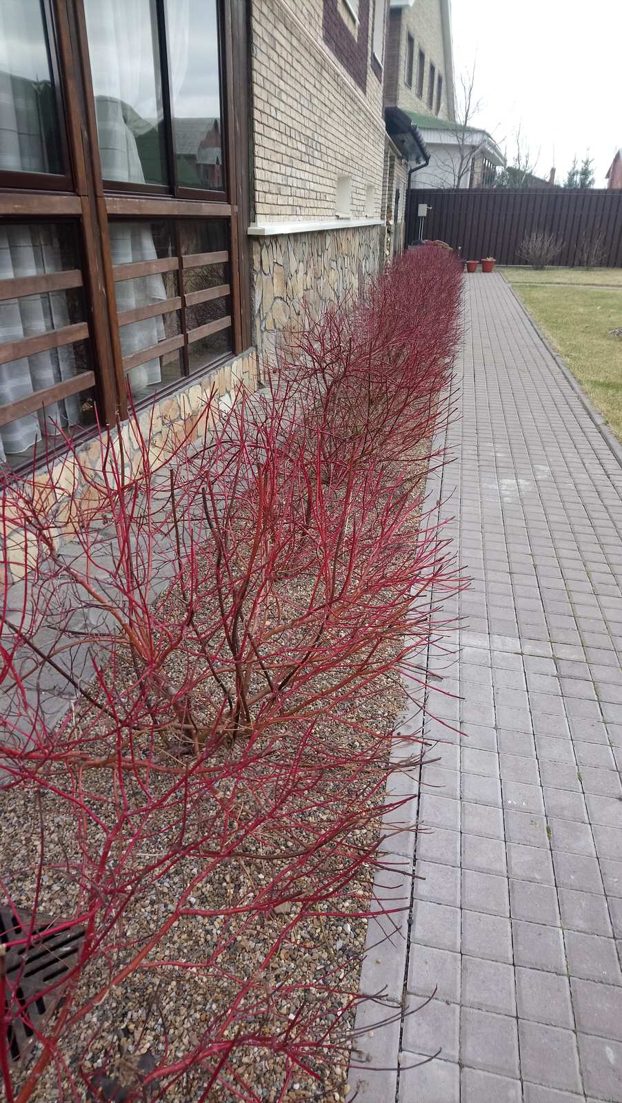 Идеи для современного сада.