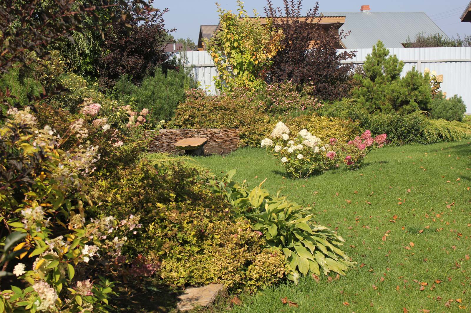 В гостях у Сказки