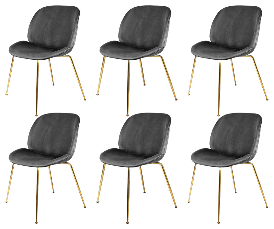 Dark Gray Velvet Shell Dining Chairs With Gold Legs, Set of 6 - Midcentury - Dining Chairs - by 