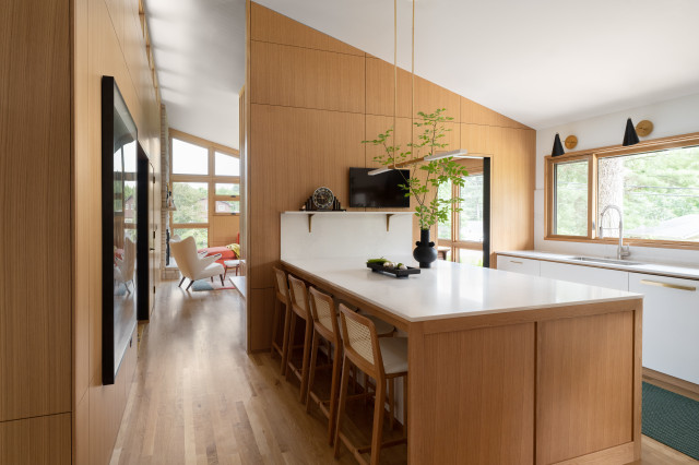 Midcentury Marvel retro-cocina