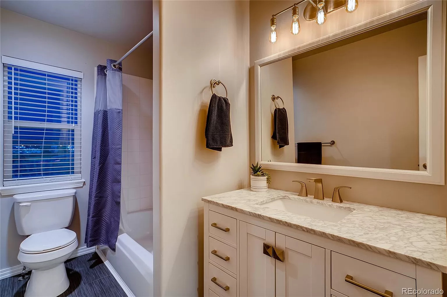 Douglas County Renovation