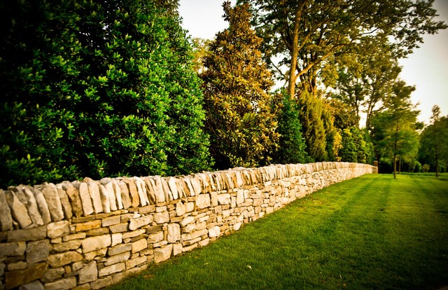 Boxwood traditional-garden