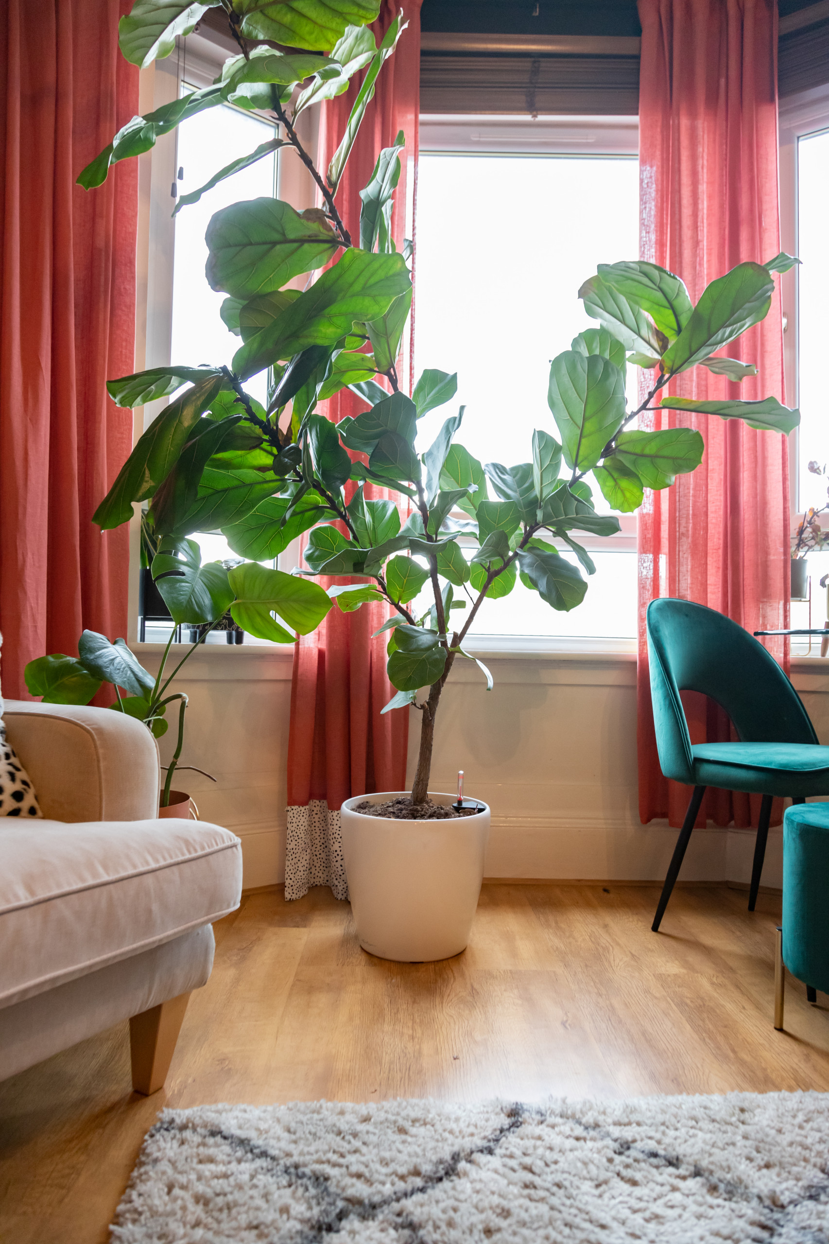 One bedroom tenement flat - Glasgow