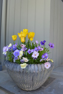 9 Beautiful Early Spring Container Gardens (10 photos)