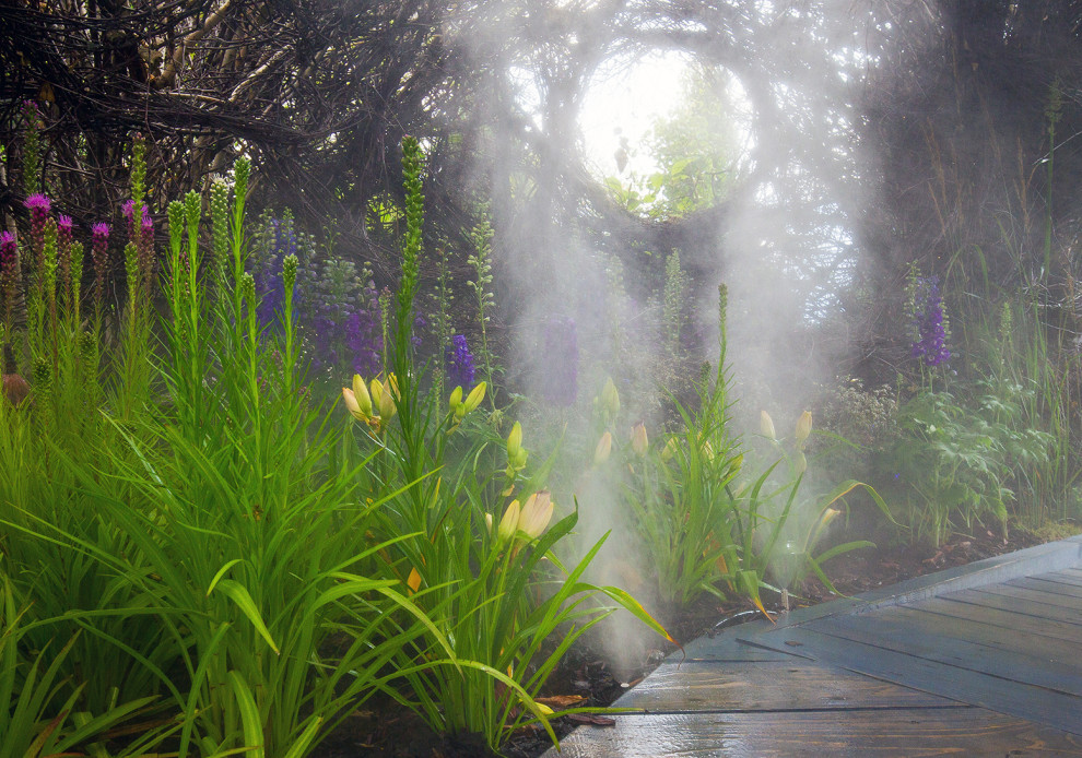 Фотосъемка Сада   по  Метрелинку на MFS 2019 Авторы М,Береснева М. ПРИНТЦ