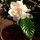 Last commented by newway_1mpm
