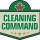 Cleaning Command