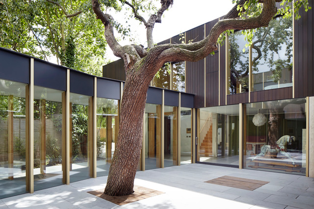 Pear Tree House contemporary-exterior