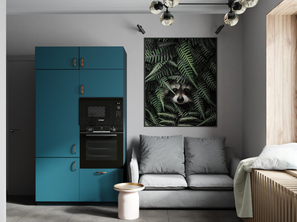 1_project_THE RACCOON