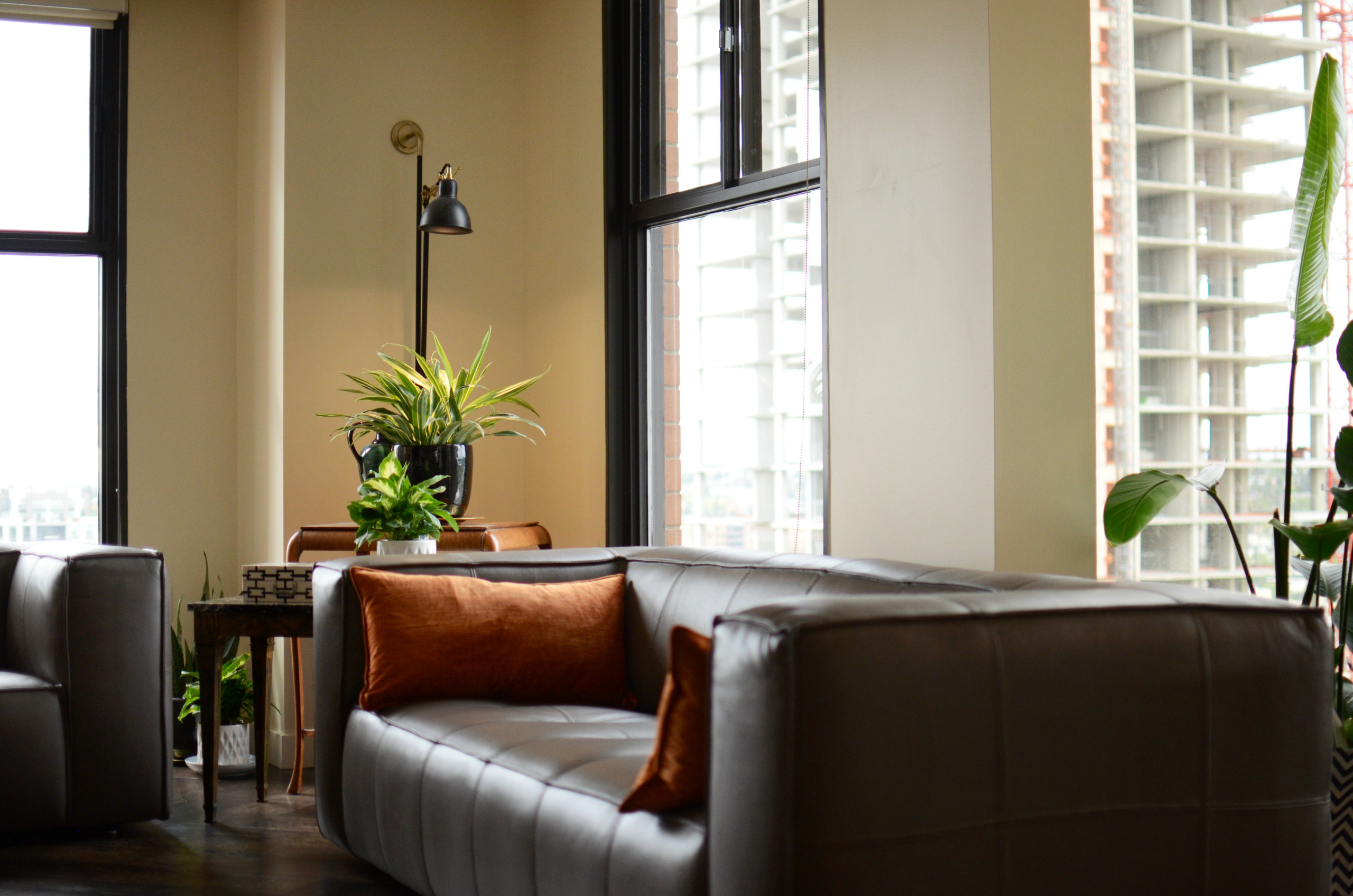 Downtown Condo Revival