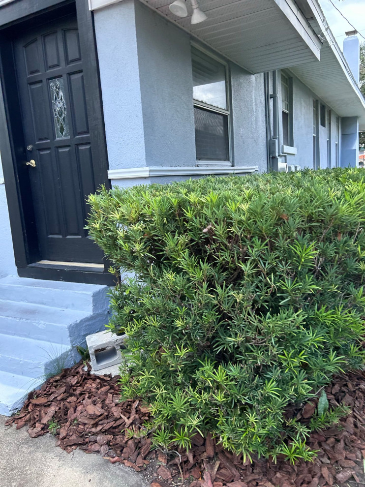 Law Office Landscape Revamp and Design