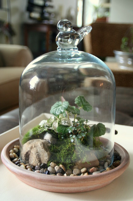 Plants and Coffee // Let's make a coffee pot Terrarium! — A Charming Project