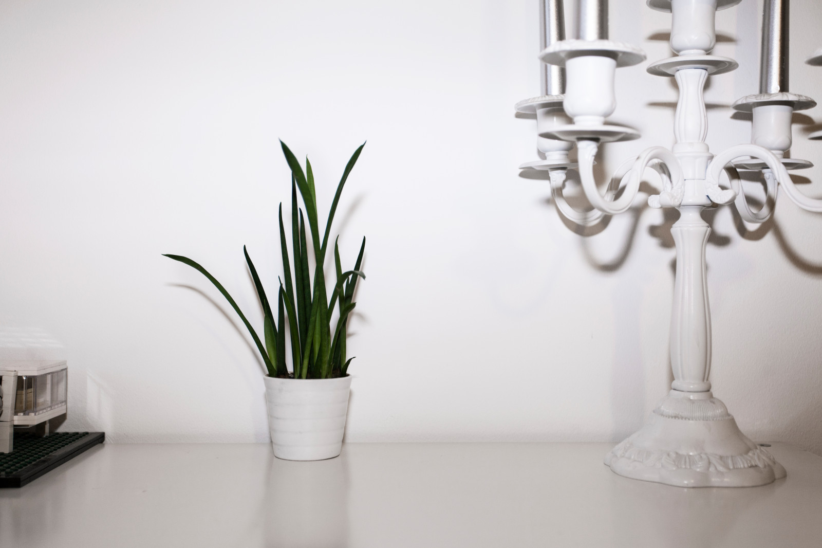 Эва и Вадим/ Тверская