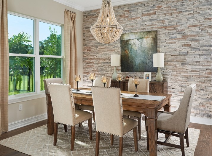 Inspiration for a large eclectic open plan dining in Orlando with brown walls, medium hardwood floors and brown floor.