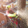 Coventry Tree Services