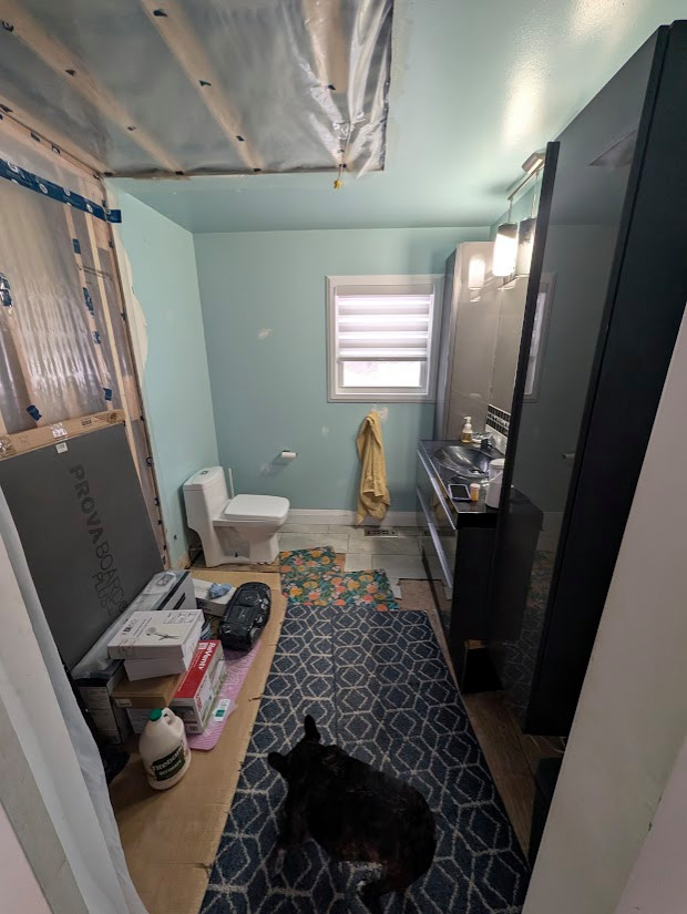 Fallowfield Bathroom Remodel 2