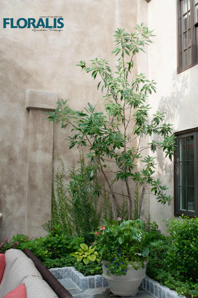 Photo of a transitional landscaping in Atlanta.