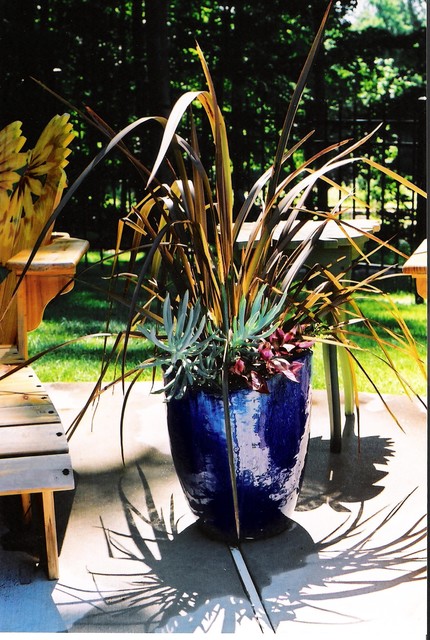 10 astuces pour sublimer votre extérieur avec des pots de fleurs