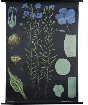 Guest Picks: Science-Inspired Design Finds