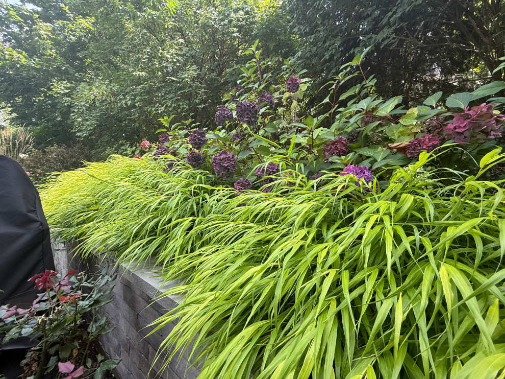 Planting Design