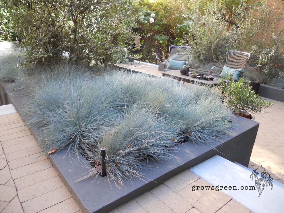 Inspiration for a mid-sized contemporary drought-tolerant and full sun backyard brick landscaping in San Francisco.