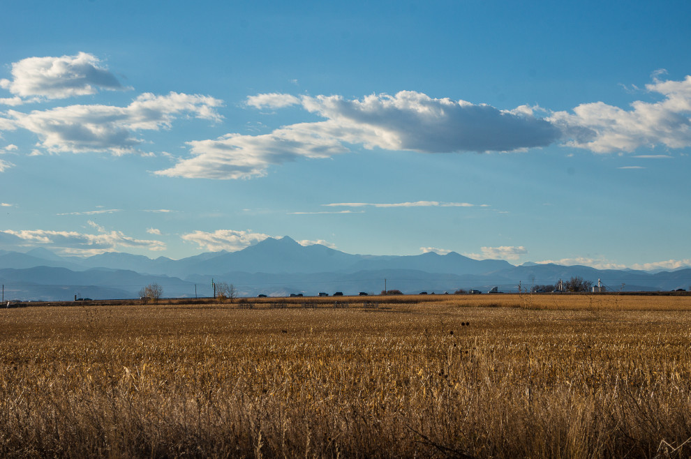 Inspiration for a rustic home design remodel in Denver