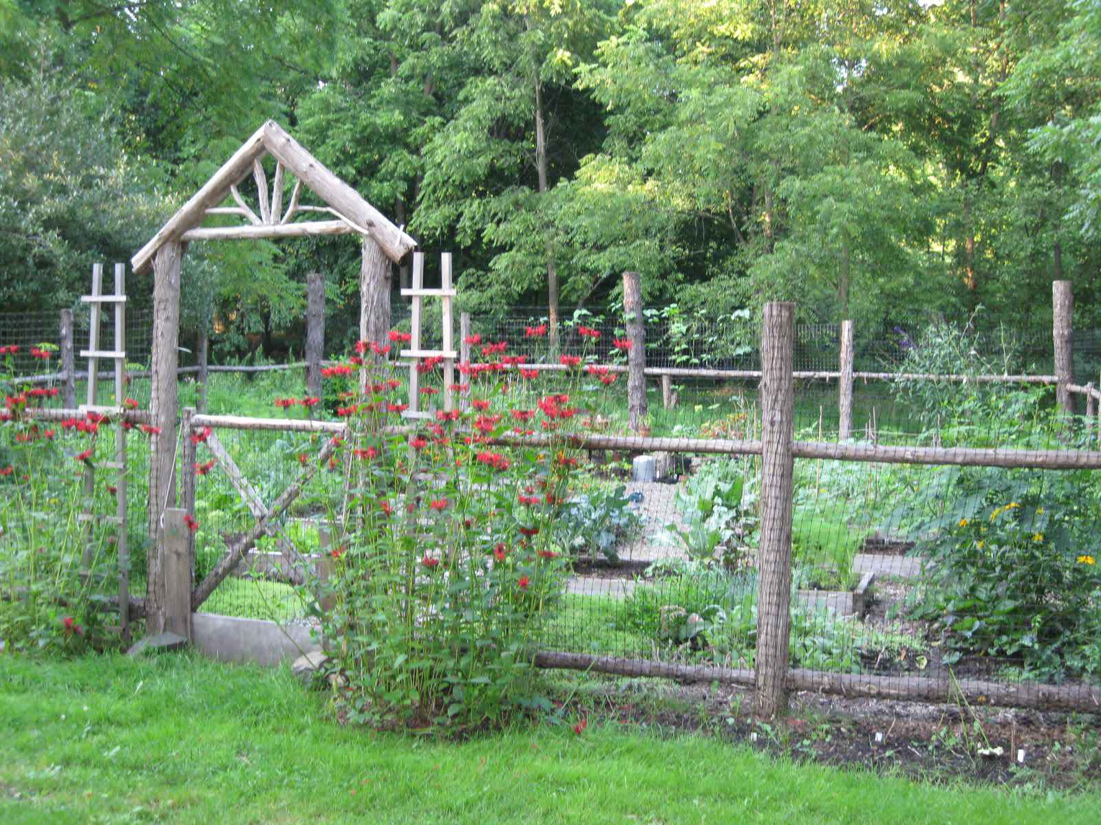 Raised Vegetable Garden, Herbs and Flowers