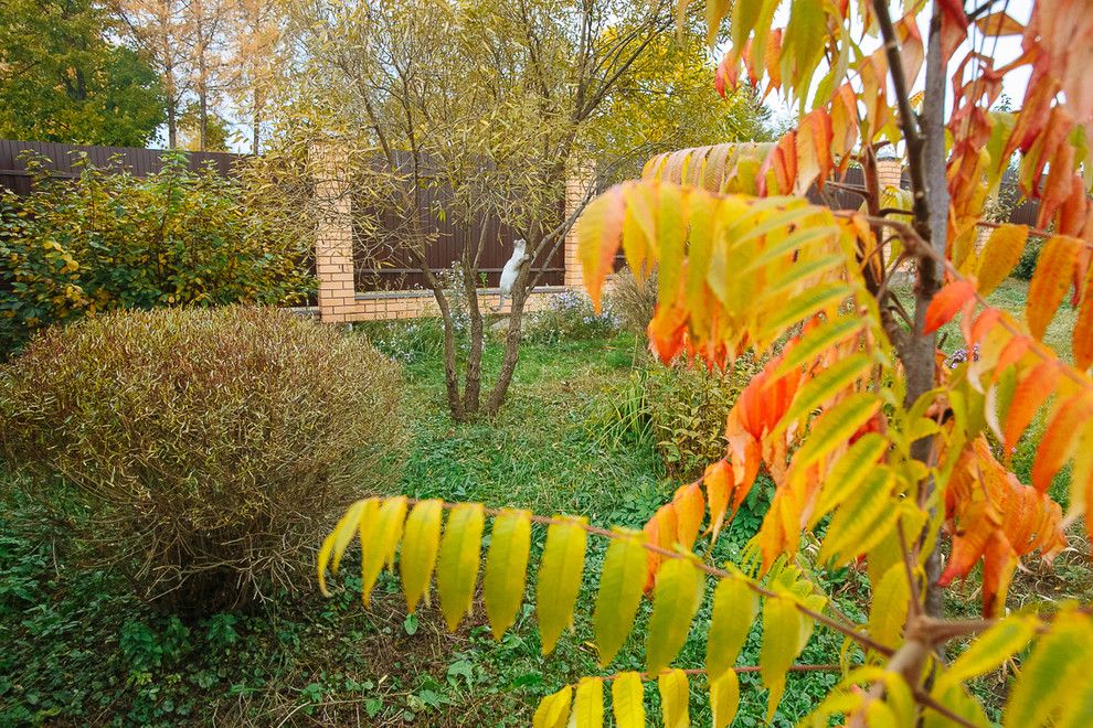 Сад "Каликат"