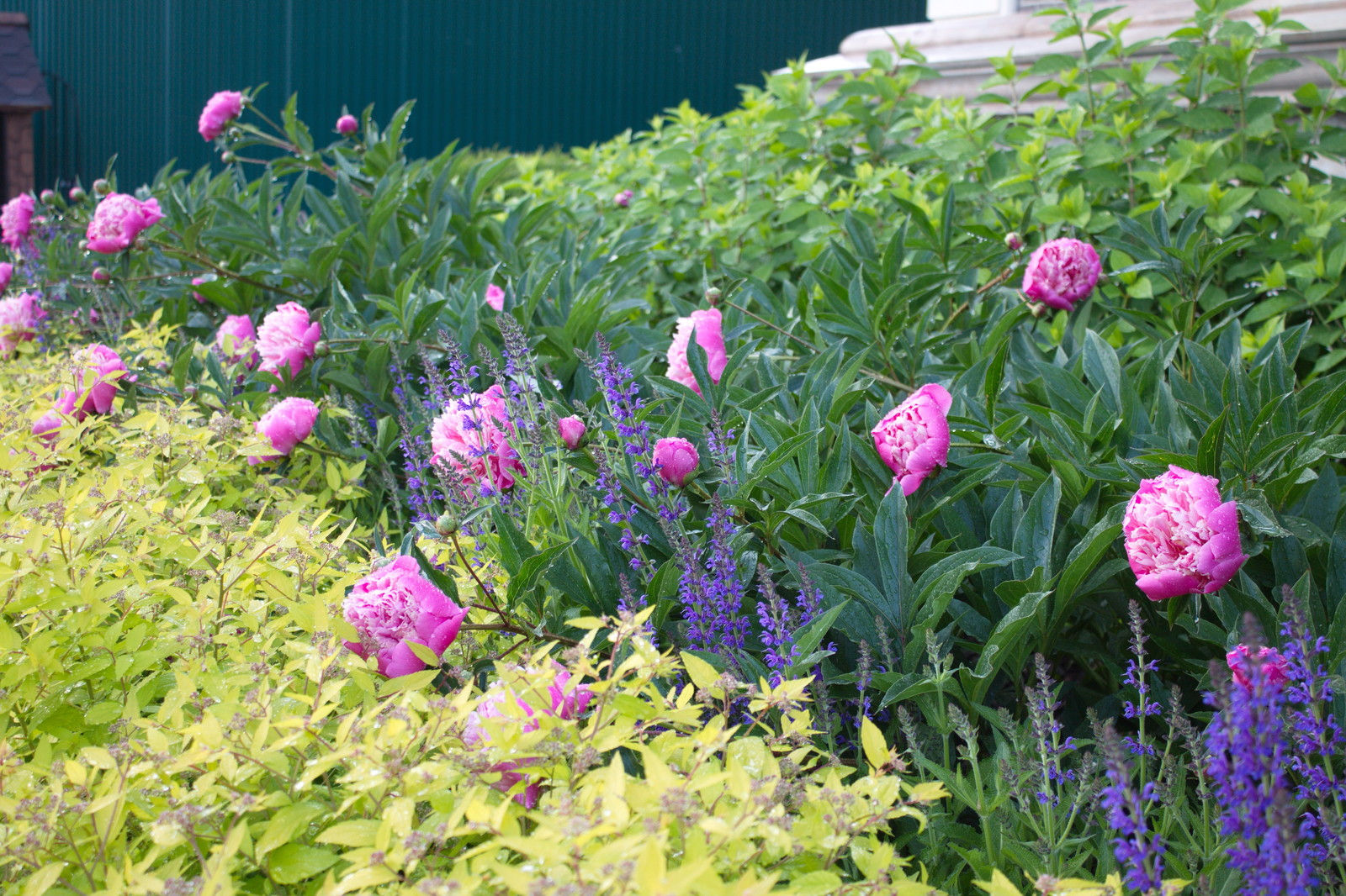 Сад резиденции для большой семьи