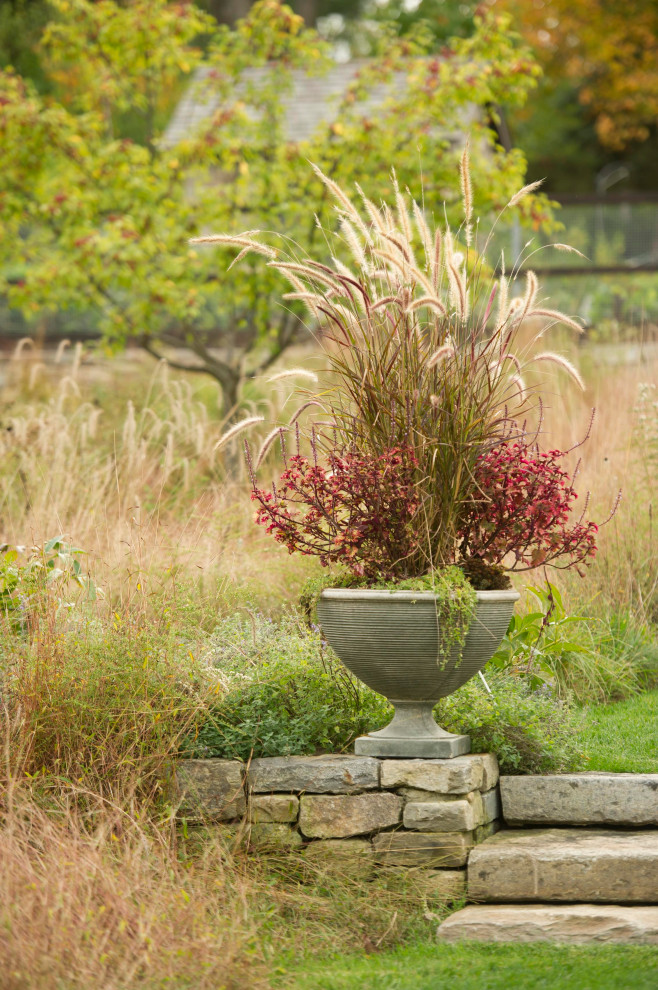 This is an example of a contemporary backyard landscaping for fall.