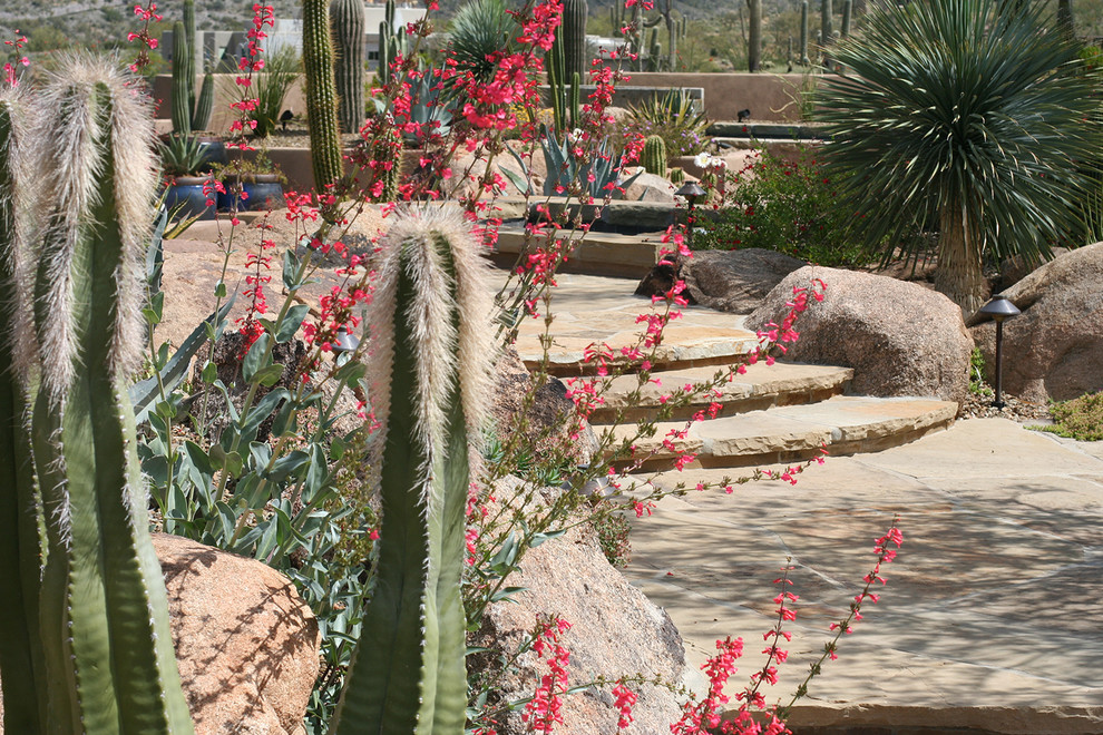 Photo of a southwestern landscaping in Phoenix.