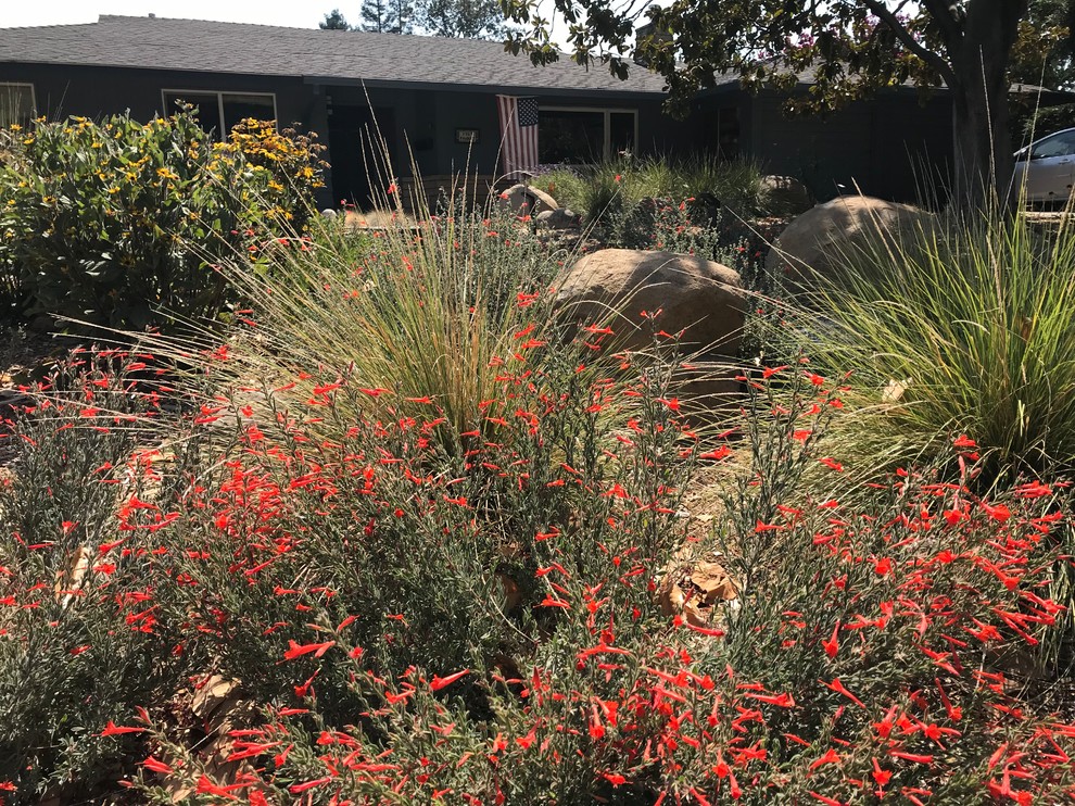 Design ideas for a mid-sized mid-century modern landscaping in Other.