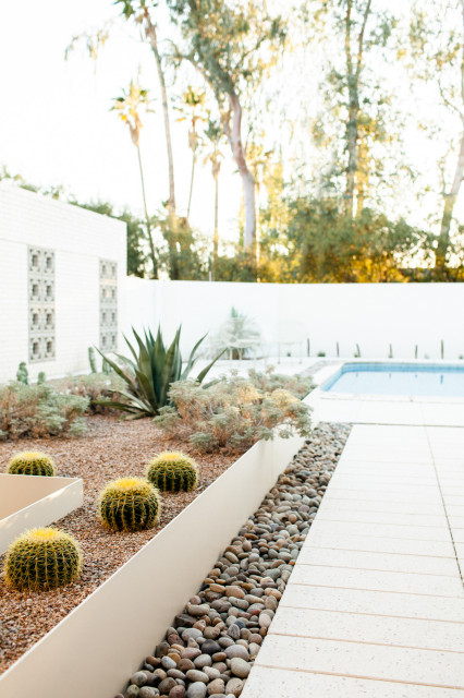 A Softened Midcentury Vibe Defines A Desert Remodel - Luxe Interiors +  Design