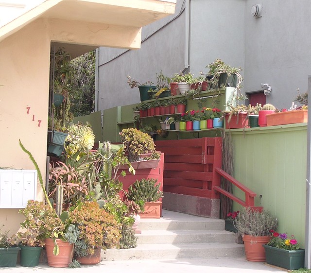 windowboxes 