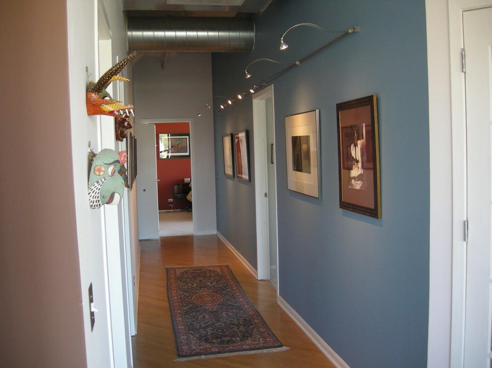 Design ideas for a contemporary hallway in Chicago with blue walls.