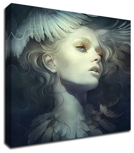 Fly by Anna Dittman, Print on Canvas, Ready to Hang - Contemporary ...