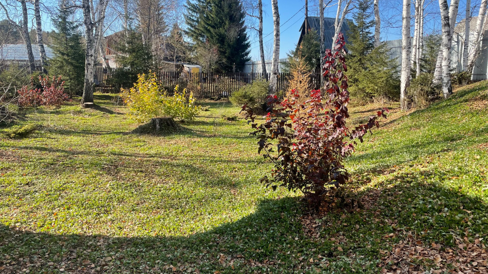 Реализация проекта 2021 г.