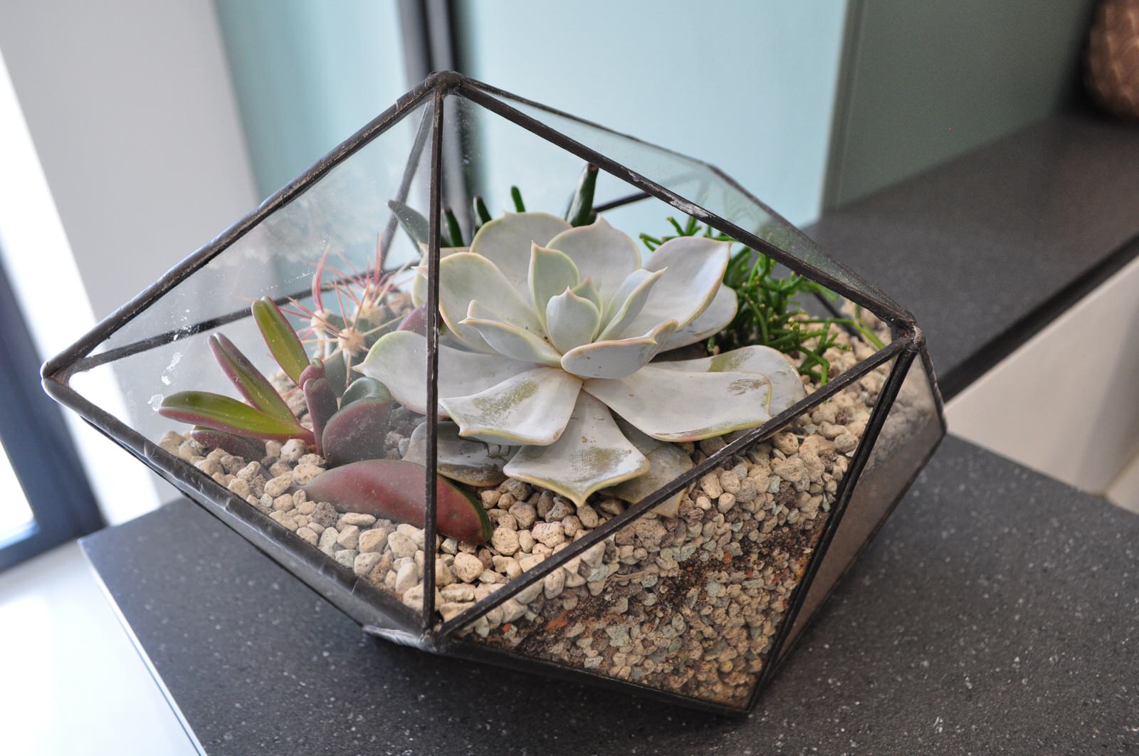 Флорариумы