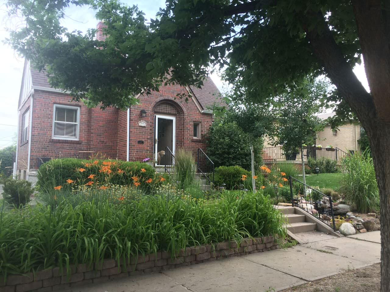 Front Yard Landscape Designs