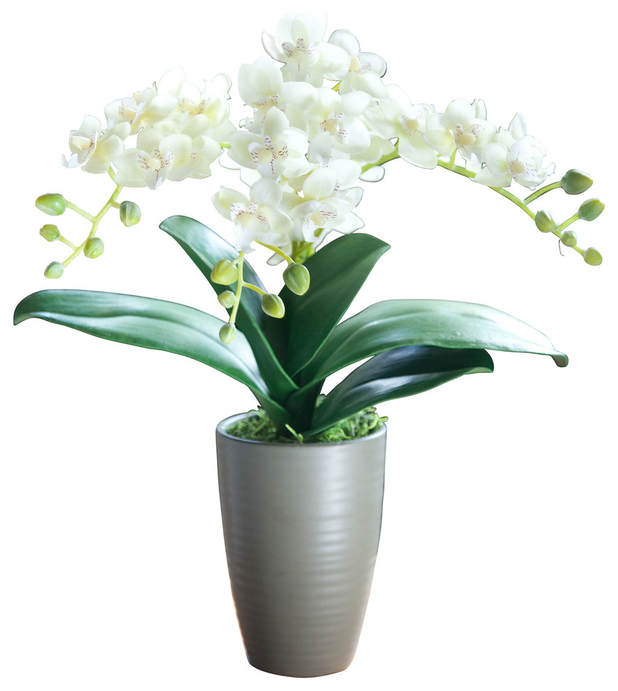15" Light Yellow Mini Phalaenopsis Artificial Orchid Arrangement  - Grace